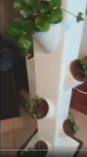 The Future of Growing is Here... Make a Vertical Fogponics Tower!