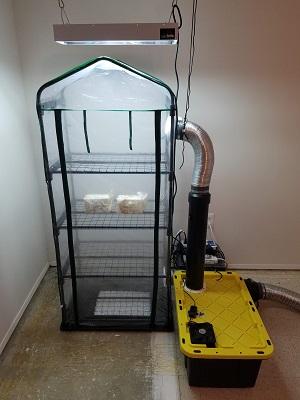 How to Make a DIY Humidifier for Your Home or Greenhouse