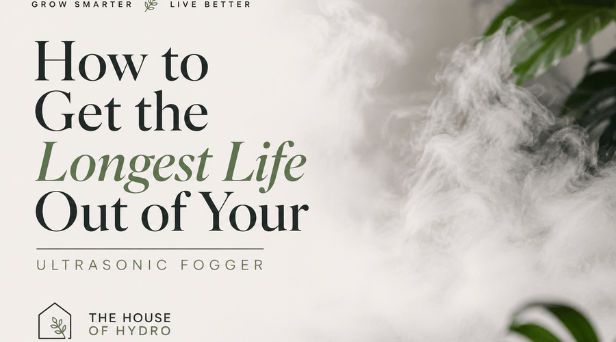 Ultrasonic Fogger Maintenance: 11 Tips to Get the Longest Life